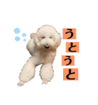 ラム子ちゃんスタンプ2（個別スタンプ：15）