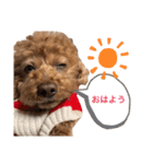 ルナくんスタンプ3（個別スタンプ：1）