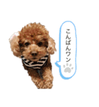 ルナくんスタンプ3（個別スタンプ：3）