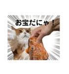 めいみる（個別スタンプ：1）