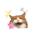 めいみる（個別スタンプ：2）