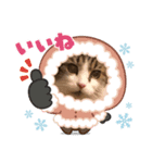 めいみる（個別スタンプ：7）