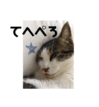ねっころがる（個別スタンプ：1）