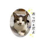 ねっころがる（個別スタンプ：2）