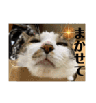 ねっころがる（個別スタンプ：3）