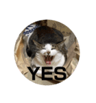 ねっころがる（個別スタンプ：4）
