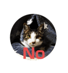 ねっころがる（個別スタンプ：5）