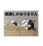 ねっころがる（個別スタンプ：6）