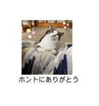 ねっころがる（個別スタンプ：7）