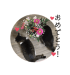 ねっころがる（個別スタンプ：8）