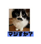 ねっころがる（個別スタンプ：10）