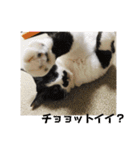 ねっころがる（個別スタンプ：11）