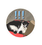 ねっころがる（個別スタンプ：12）
