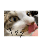 ねっころがる（個別スタンプ：13）