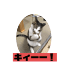 ねっころがる（個別スタンプ：14）