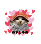 ねっころがる（個別スタンプ：15）