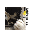 ねっころがる（個別スタンプ：17）