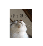 ねっころがる（個別スタンプ：18）