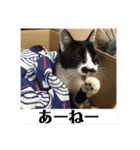 ねっころがる（個別スタンプ：19）