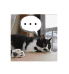 ねっころがる（個別スタンプ：20）