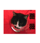 ねっころがる（個別スタンプ：21）