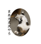 ねっころがる（個別スタンプ：22）