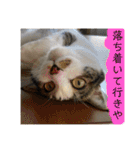 ねっころがる（個別スタンプ：24）