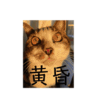 ねっころがる（個別スタンプ：25）