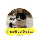 ねっころがる（個別スタンプ：26）
