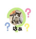 ねっころがる（個別スタンプ：27）