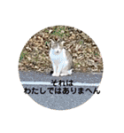 ねっころがる（個別スタンプ：28）