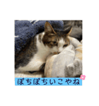 ねっころがる（個別スタンプ：30）