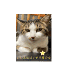 ねっころがる（個別スタンプ：31）