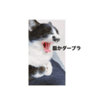 ねっころがる（個別スタンプ：33）