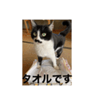 ねっころがる（個別スタンプ：34）