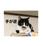 ねっころがる（個別スタンプ：35）