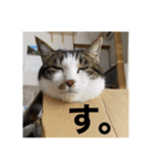 ねっころがる（個別スタンプ：36）