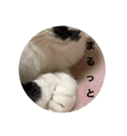 ねっころがる（個別スタンプ：37）