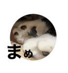 ねっころがる（個別スタンプ：38）