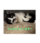ねっころがる（個別スタンプ：39）