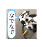 ねっころがる（個別スタンプ：40）