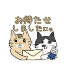 猫がいっぱい♡大人丁寧✨にゃう議院議員✨（個別スタンプ：14）