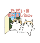 猫がいっぱい♡大人丁寧✨にゃう議院議員✨（個別スタンプ：18）