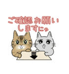 猫がいっぱい♡大人丁寧✨にゃう議院議員✨（個別スタンプ：25）