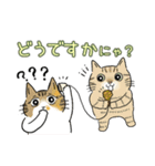 猫がいっぱい♡大人丁寧✨にゃう議院議員✨（個別スタンプ：26）