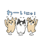 猫がいっぱい♡大人丁寧✨にゃう議院議員✨（個別スタンプ：28）