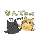 猫がいっぱい♡大人丁寧✨にゃう議院議員✨（個別スタンプ：30）