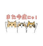 猫がいっぱい♡大人丁寧✨にゃう議院議員✨（個別スタンプ：40）