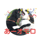 ペットの代弁⑤（個別スタンプ：4）