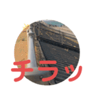 ペットの代弁⑤（個別スタンプ：21）